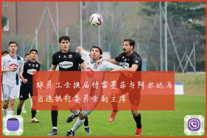 球员工会换届特雷墨菲与阿尔达马当选执行委员会副主席