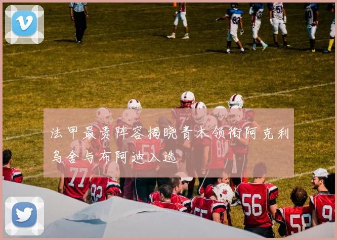 法甲最贵阵容揭晓青木领衔阿克利乌舍与布阿迪入选