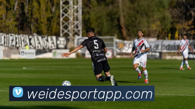 伟德体育平台生态图