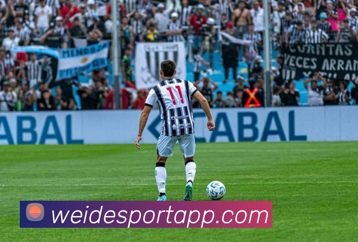 伟德体育APP 封面图